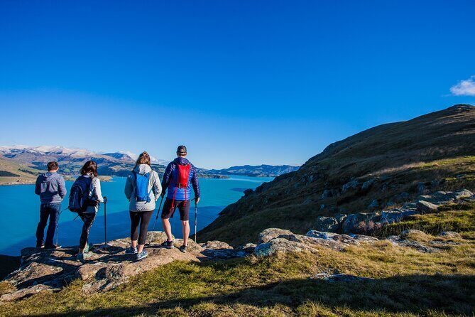Full Day Guided Walking Tour and Picnic around Godley Head - The Godley Head Loop Track