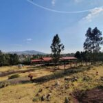 Full Day Hiking Tours to Mountain Furi - Authenticity and Real Traveler Insights