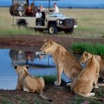 Full Day Hluhluwe Imfolozi Game Reserve Tour From Durban - Exploring the Hluhluwe Imfolozi Experience