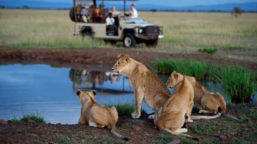 Full Day Hluhluwe Imfolozi Game Reserve Tour From Durban - Exploring the Hluhluwe Imfolozi Experience