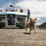 Full Day Iconic Mail Boat Cruise - Who Will Love This Tour?
