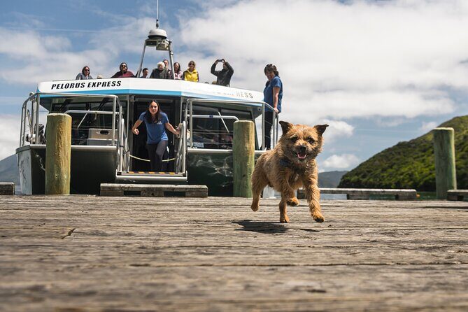 Full Day Iconic Mail Boat Cruise - Who Will Love This Tour?