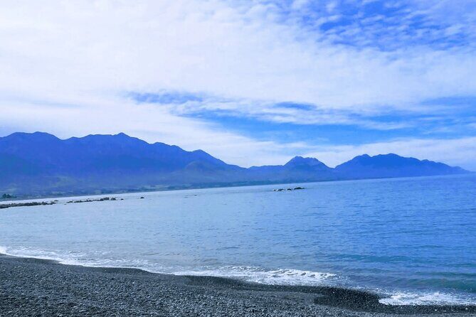 Full Day Kaikoura Tour Whale Watching Seals and Scenic Coast - Transportation and Practical Details