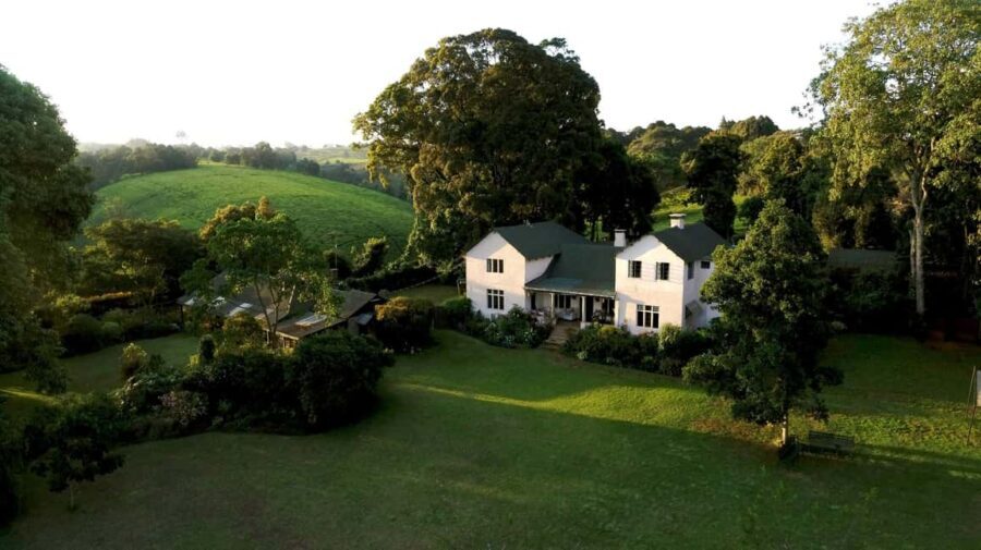 Full Day Kiambethu Tea Farm Tour - A Closer Look at the Kiambethu Tea Farm Tour