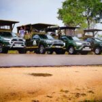 Full Day Kruger National Park Game Drive - Itinerary Breakdown and Highlights
