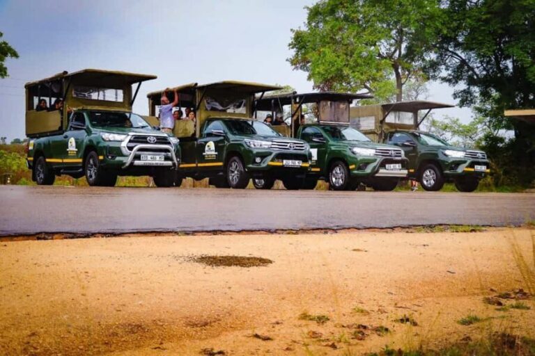 Full Day Kruger National Park Game Drive - Itinerary Breakdown and Highlights