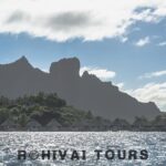 Full-day Lagoon Safari Tour with Lunch in Bora Bora - Shared tour - Who Is This Tour Best For?