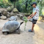 Full day Mahe Tour - Detailed Breakdown of the Itinerary