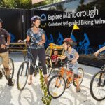 Full-Day Marlborough Wine Region Bike Hire - Who Is This Tour Best For?