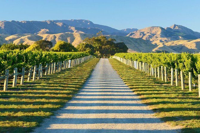 Full-Day Marlborough Wine Tour Including Wine Tasting - In-Depth Itinerary Breakdown