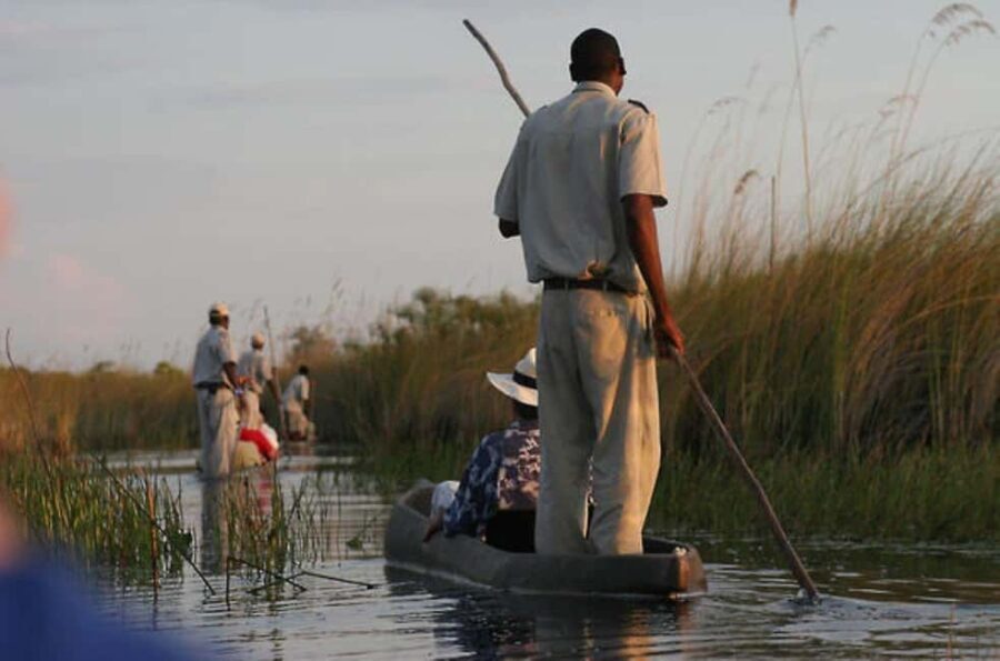 Full Day Okavango Mokoro Tour - What’s Included and What to Bring