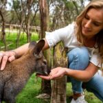 Full-Day Penguins and Wildlife Nature Experience from Melbourne - Final Thoughts