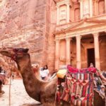 Full Day Petra - Private Day Tour From Amman - Insights from Real Reviews
