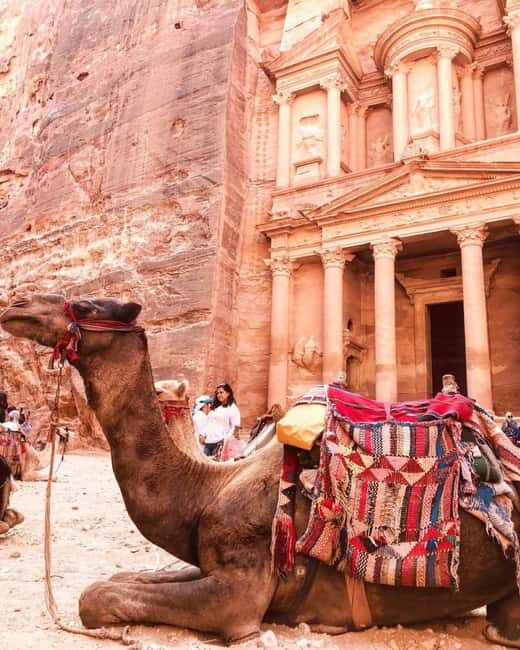 Full Day Petra - Private Day Tour From Amman - Insights from Real Reviews