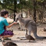 Full-Day Phillip Island Tour with Kangaroo, Koala and Penguin Parade - Exploring the Itinerary: What to Expect at Each Stop