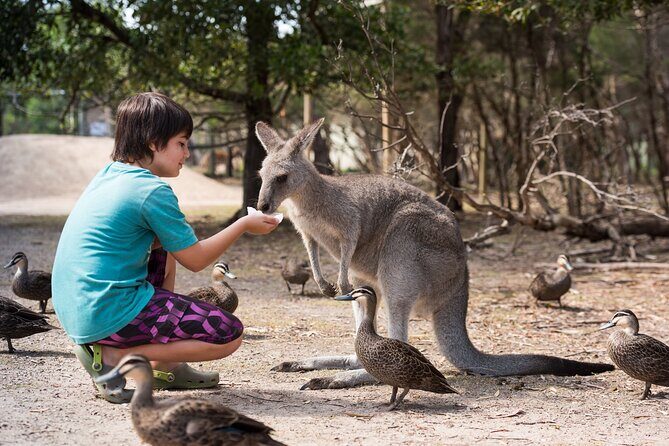 Full-Day Phillip Island Tour with Kangaroo, Koala and Penguin Parade - Exploring the Itinerary: What to Expect at Each Stop