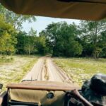 Full-Day Pilanesberg Safari from Sun City - The Real Value of the Experience