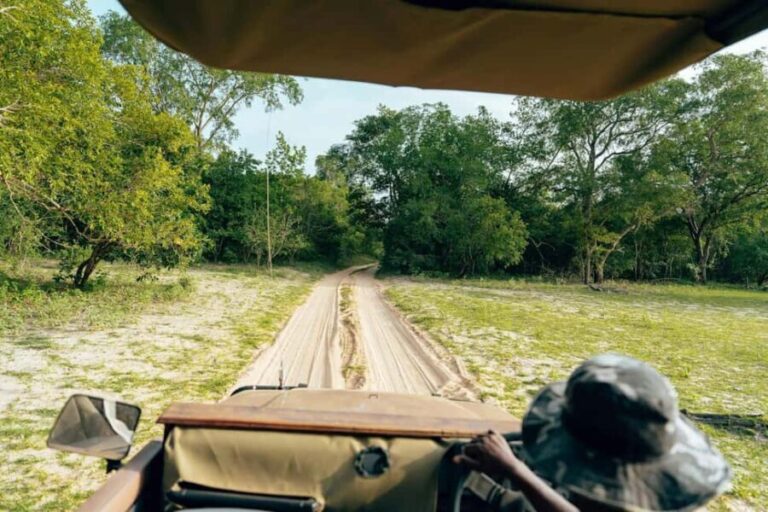 Full-Day Pilanesberg Safari from Sun City - The Real Value of the Experience