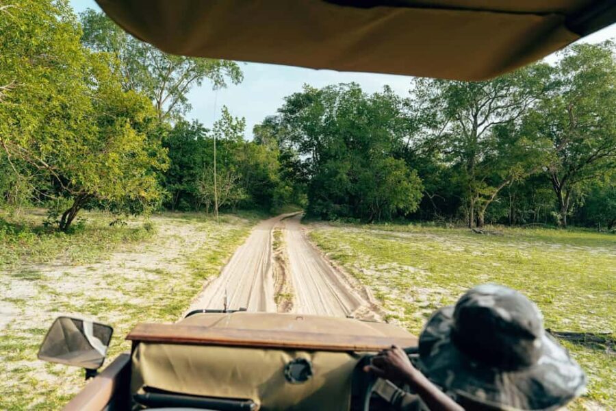 Full-Day Pilanesberg Safari from Sun City - The Real Value of the Experience