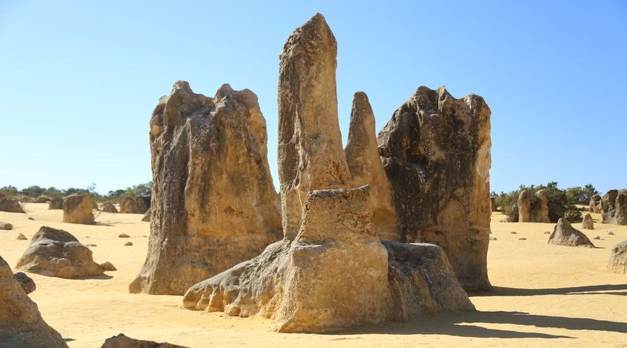 Full Day Pinnacles Desert and New Norcia - Why This Tour Offers Great Value