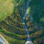 Full Day Private Canberra Day Trip From Sydney - The Sum Up: Is This Tour Right for You?