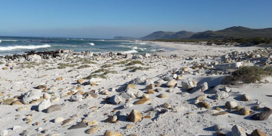Full Day Private Cape Peninsula and Boulders Beach Tour - What Travelers Can Expect