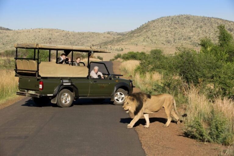 Full Day Private Kruger Safari from Hoedspruit - The Value of an Experienced Guide