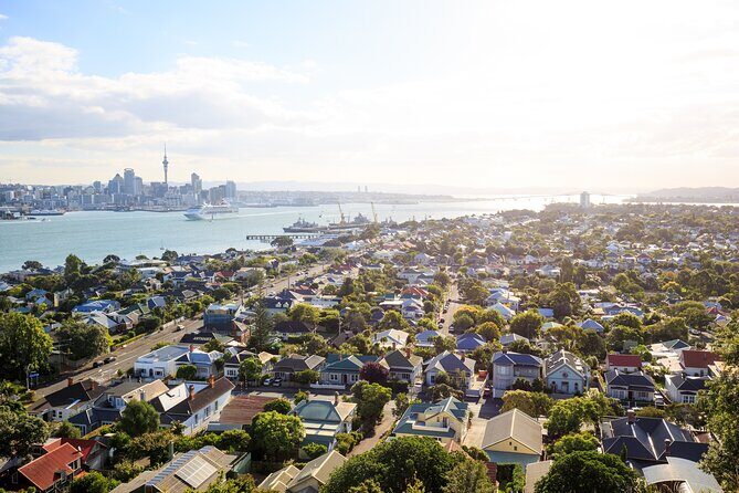 Full Day Private Shore Tour in Auckland from Tauranga Cruise Port - What’s Included and What’s Not