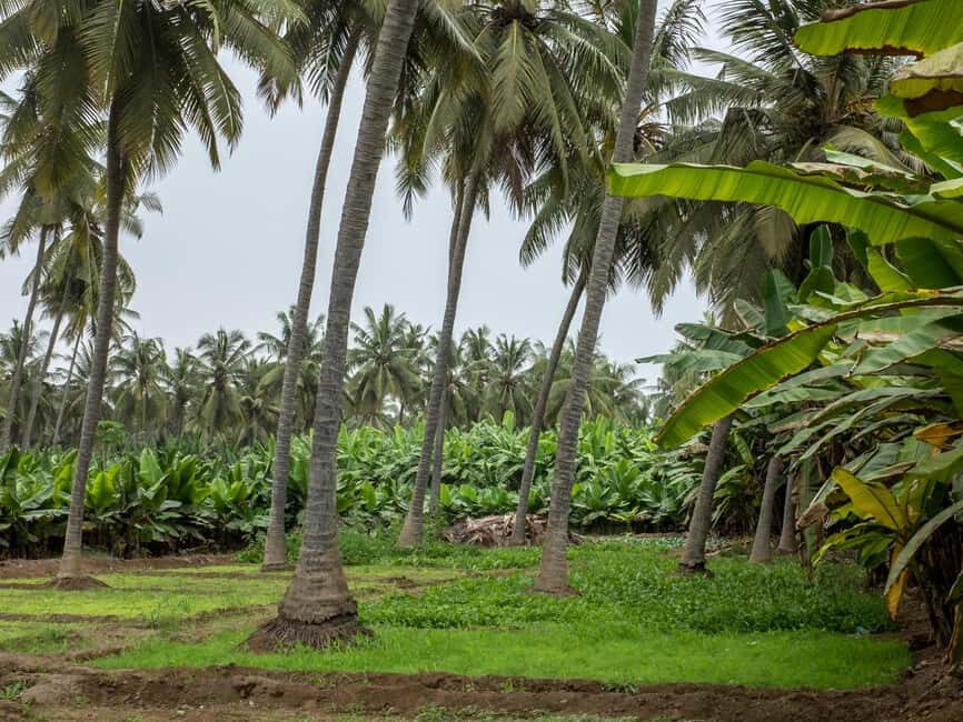 Full-Day Salalah City Tour - What’s Included and Not Included