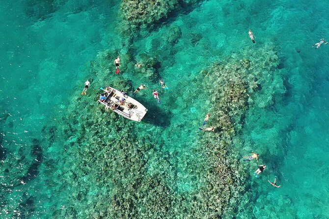 Full Day Snorkelling Cruise in Tranquility Island Resort - Practical Tips for Bookings and Planning