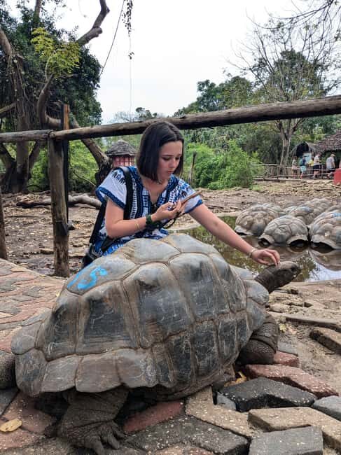 Full day Spice Tour + Prison Island + Stone Town Tour - What’s Included and What to Expect