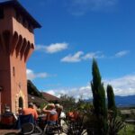 Full-Day Taste the Wines of Marlborough Tour - Who Is This Tour Best For?