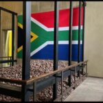 Full-Day Tour of Soweto, Johannesburg, and Apartheid Museum - Practical Details and What to Expect