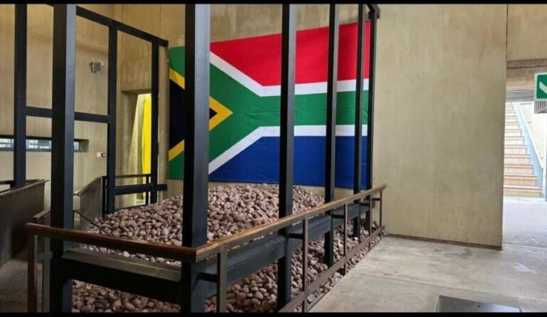 Full-Day Tour of Soweto, Johannesburg, and Apartheid Museum - Practical Details and What to Expect