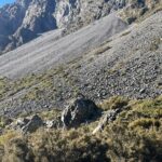 Full-Day Tour to Arthur Pass and Castle Hill with Scenic Views - Why This Tour Stands Out