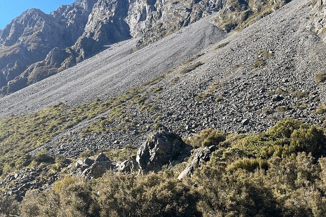 Full-Day Tour to Arthur Pass and Castle Hill with Scenic Views - Why This Tour Stands Out