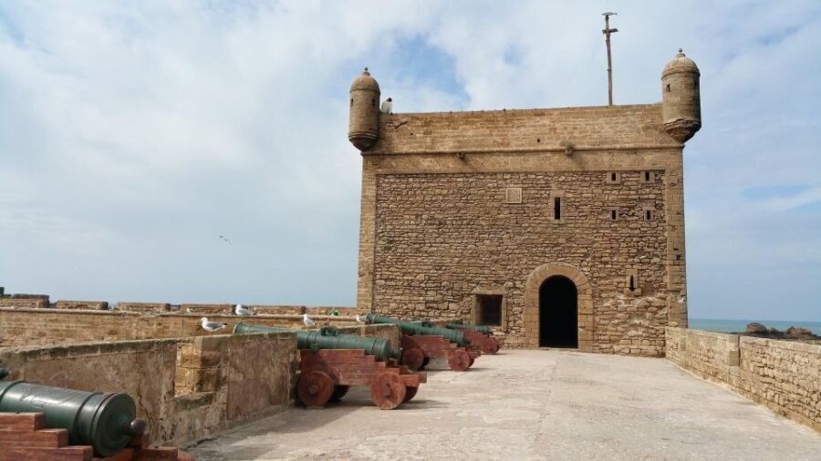 Full Day Trip From Marrakech To Essaouira - Optional Activities and Unique Experiences