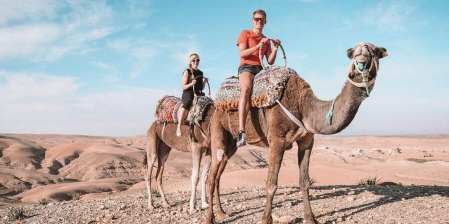 Full Day Trip to Ourika Valley from Marrakech High Atlas - What to Expect and Practical Tips
