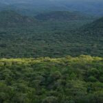 Full Day Trip to Pugu Forest from Dar es Salaam - Exploring Pugu Forest: Trails, Wildlife, and Natural Springs