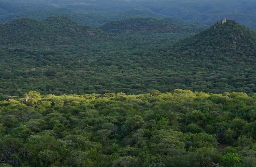 Full Day Trip to Pugu Forest from Dar es Salaam - Exploring Pugu Forest: Trails, Wildlife, and Natural Springs
