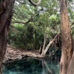 Full day visit to hotsprings, waterfalls and coffee tour - What to Expect: A Day of Nature and Culture