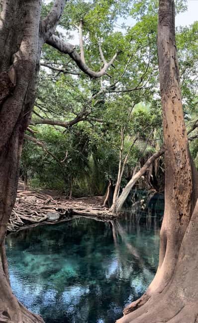 Full day visit to hotsprings, waterfalls and coffee tour - What to Expect: A Day of Nature and Culture