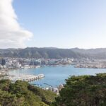 Full Day Wellington Tour - Including maoritanga - Breaking Down the Experience: What You’ll Love