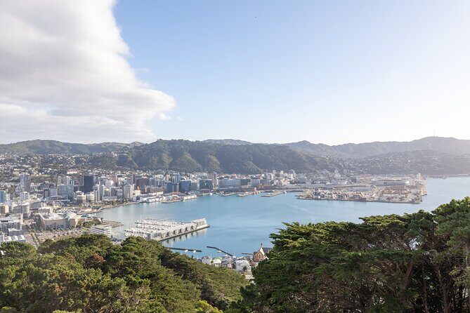 Full Day Wellington Tour - Including maoritanga - Breaking Down the Experience: What You’ll Love