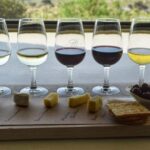 Full day Wine Tour with 14 Wine tasting + Lunch INCLUDED - What Makes This Tour Stand Out?