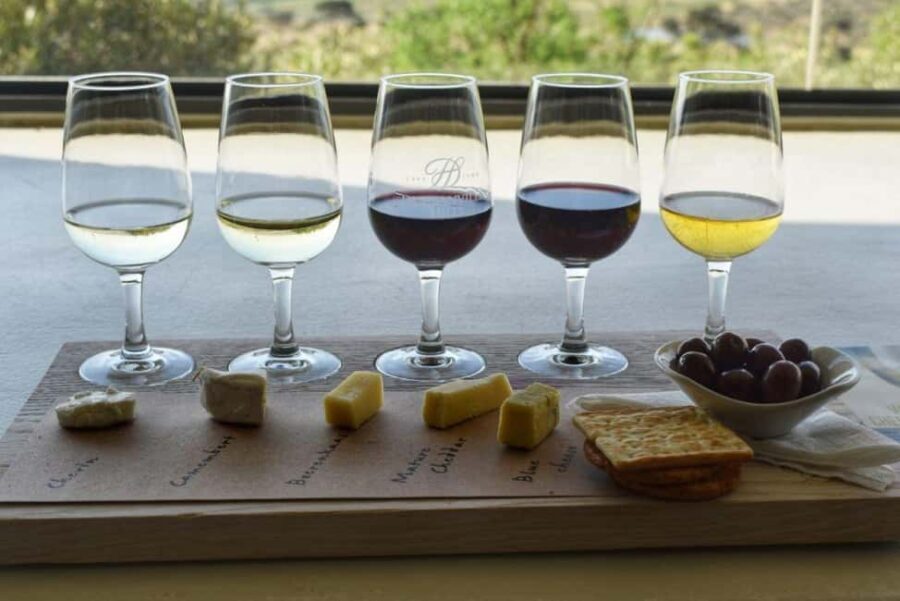 Full day Wine Tour with 14 Wine tasting + Lunch INCLUDED - What Makes This Tour Stand Out?