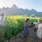 Full day Winelands Tour - Who Would Love This Tour?