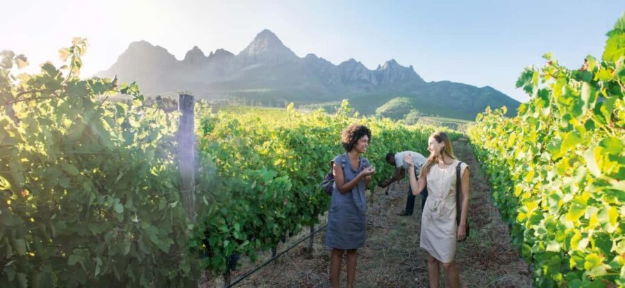 Full day Winelands Tour - Who Would Love This Tour?