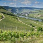 Full Day Winelands Tours - What’s the Value?