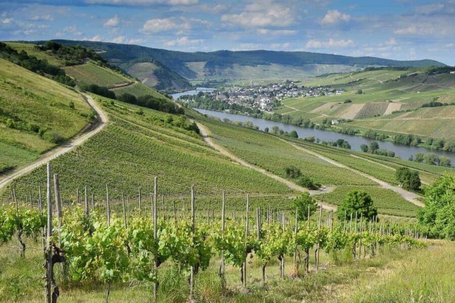 Full Day Winelands Tours - What’s the Value?